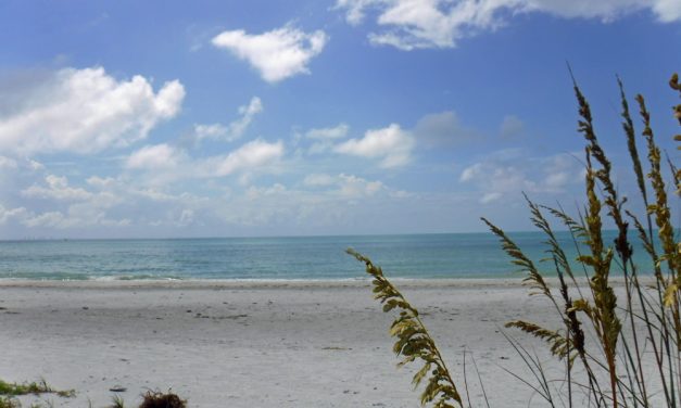 Sanibel Island for families: Wildlife, beaches, and camping