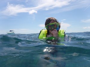 Snorkeling in Key Largo
