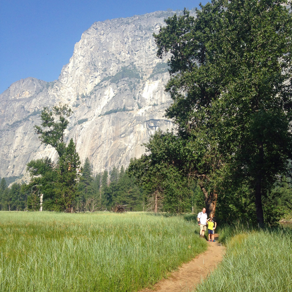 Planning your trip to Yosemite National Park
