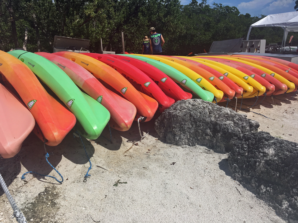 Rental kayaks lined up and ready to go