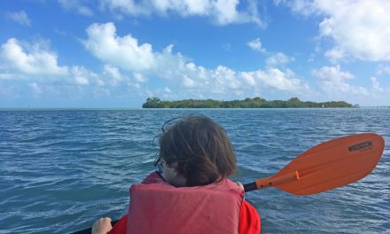 Kayaking with kids: Paddlesports for family adventure